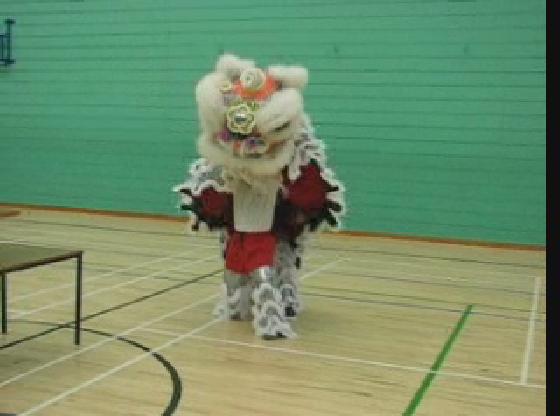 Lion Dance