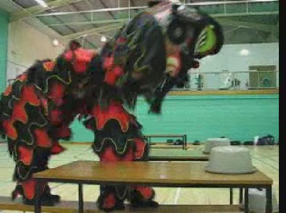 Lion Dance