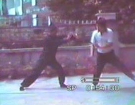 Wahnam Taijiquan