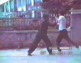 Wahnam Taijiquan