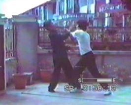 Wahnam Taijiquan