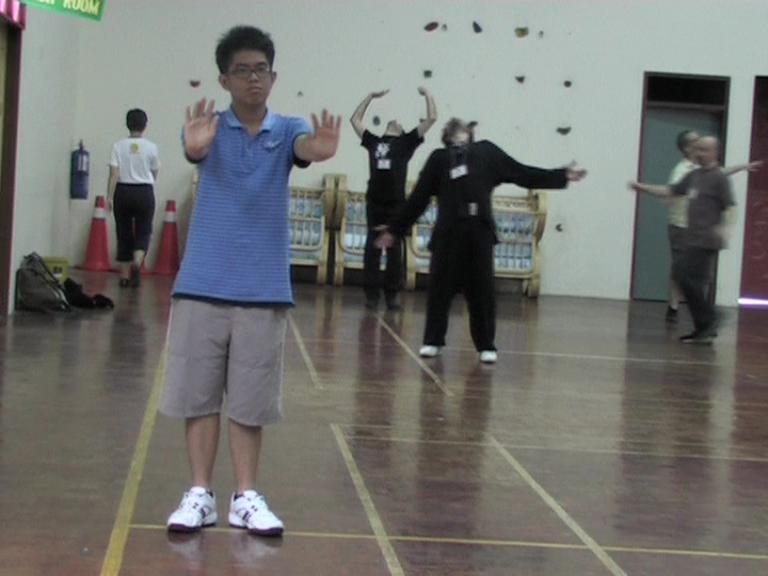 Chi Kung Qigong