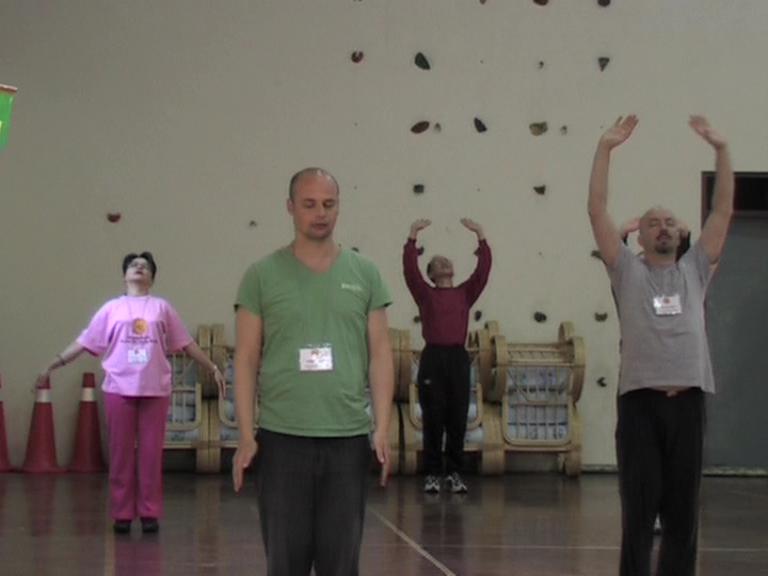 Chi Kung Qigong