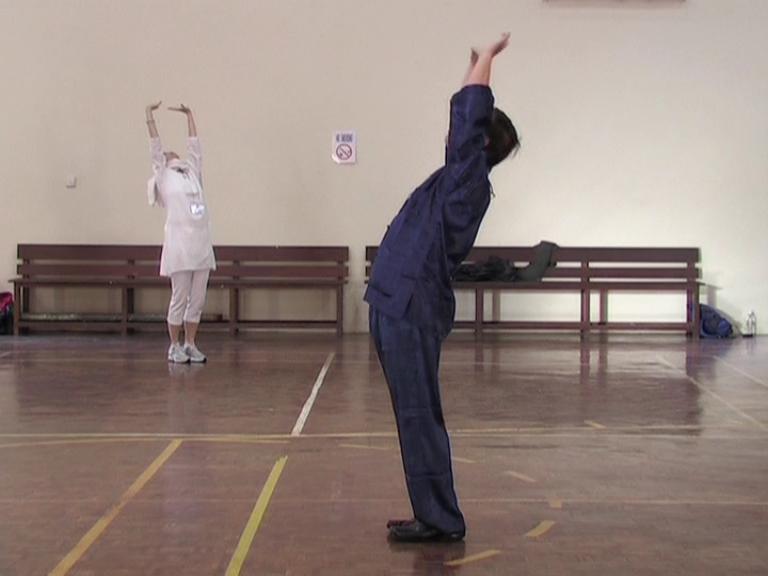 Chi Kung Qigong