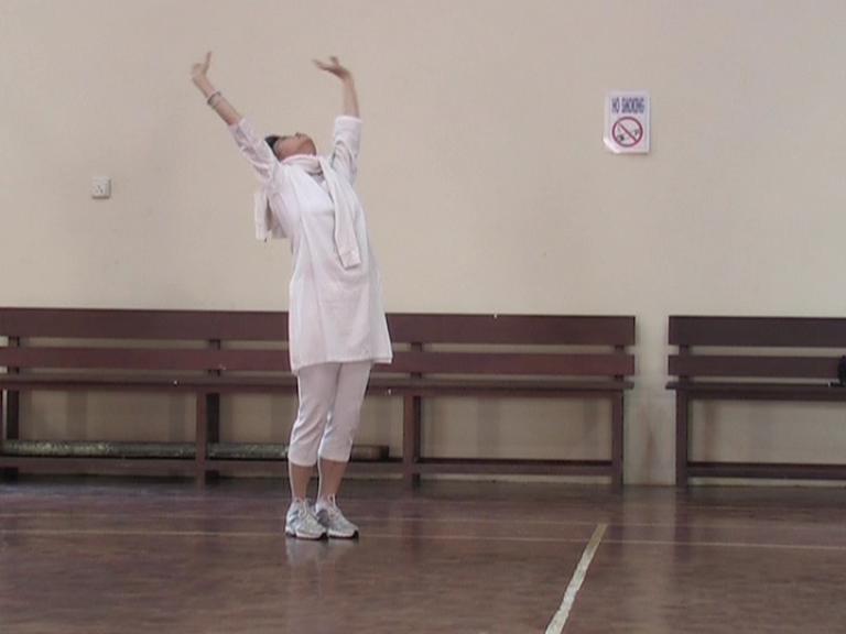 Chi Kung Qigong