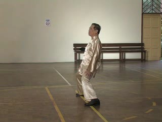 Shaolin Kungfu