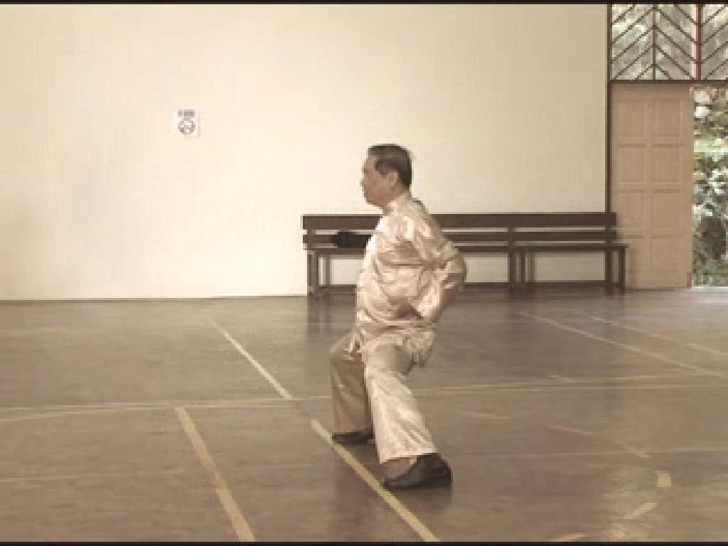 Shaolin Kungfu