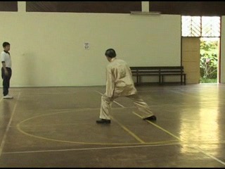 Shaolin Kungfu