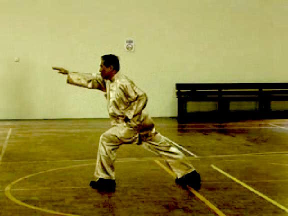 Shaolin Kungfu