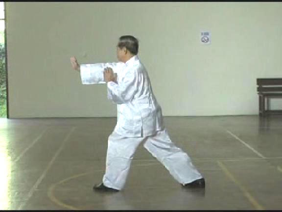 Shaolin Kungfu