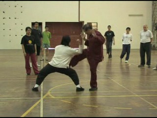 Shaolin Kungfu