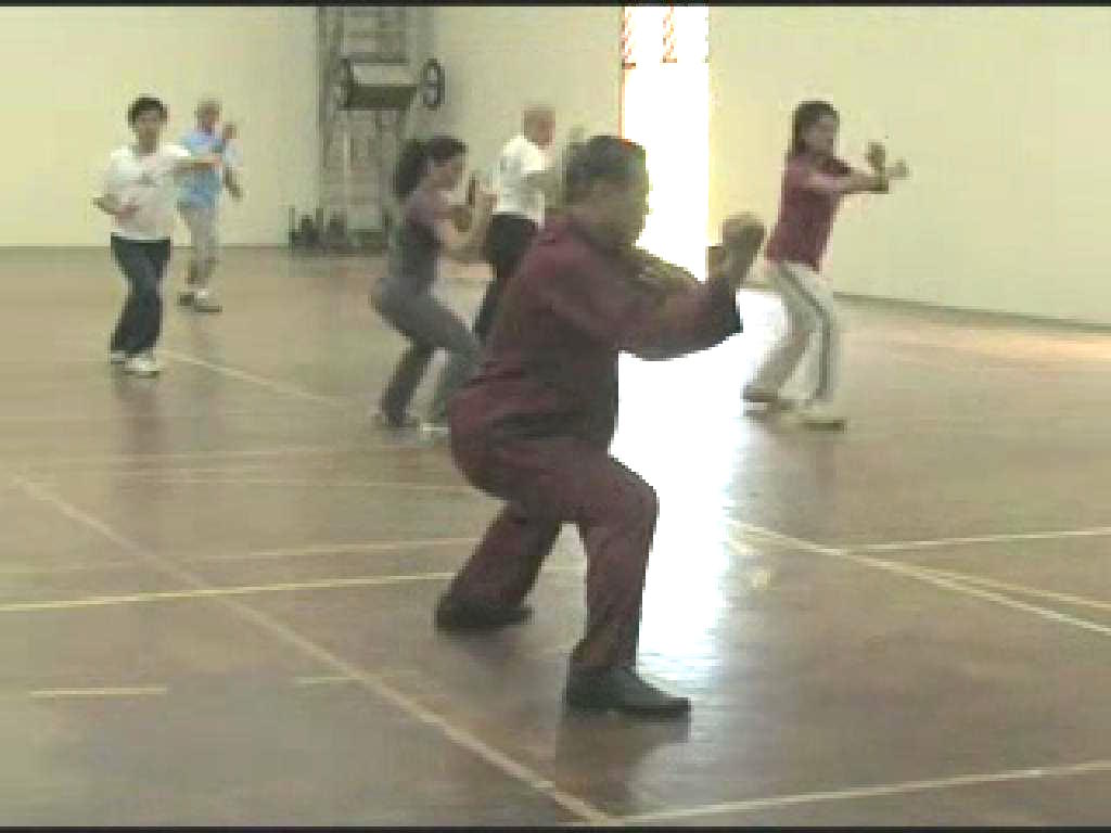 Shaolin Kungfu