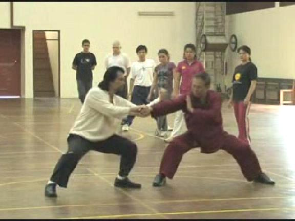 Shaolin Kungfu