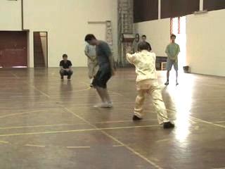 Shaolin Kungfu