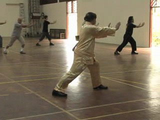 Shaolin Kungfu