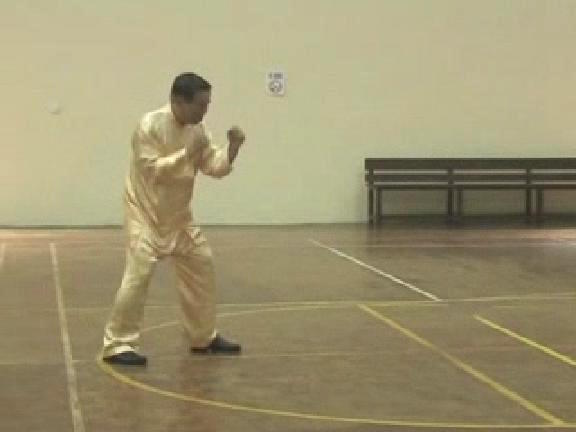 Shaolin Kungfu