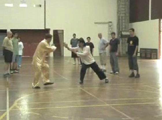 Shaolin Kungfu