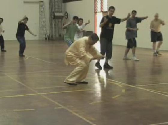 Shaolin Kungfu