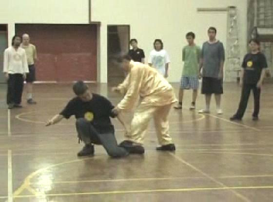 Shaolin Kungfu