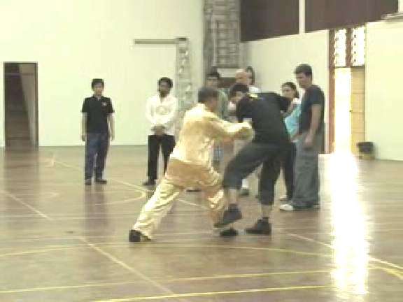 Shaolin Kungfu