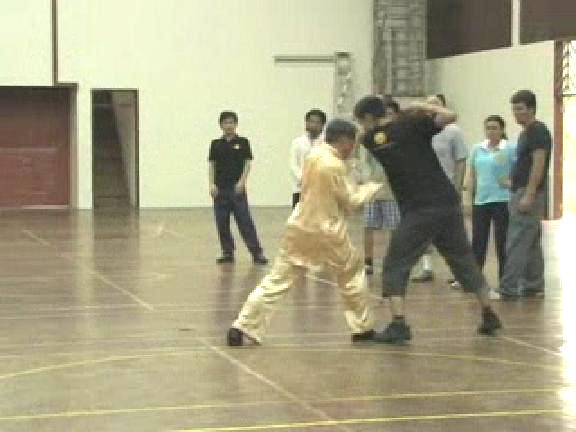 Shaolin Kungfu