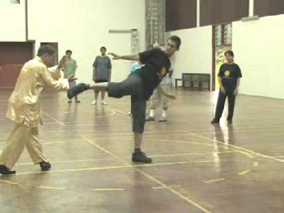 Shaolin Kungfu