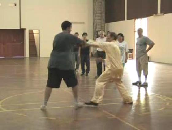 Shaolin Kungfu