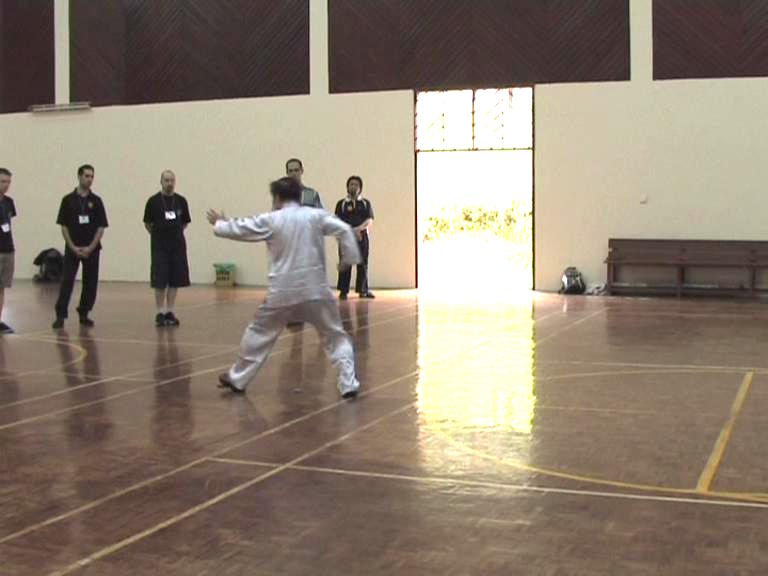 Shaolin Kung Fu