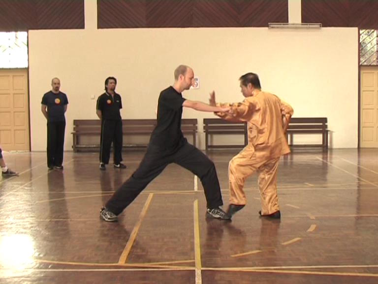 Shaolin Kungfu