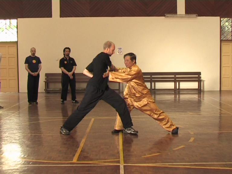 Shaolin Kungfu