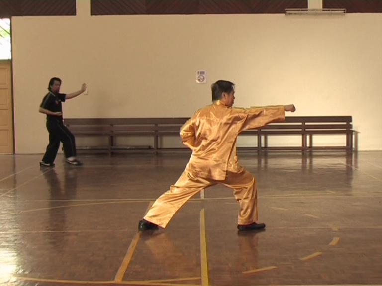 Shaolin Kungfu