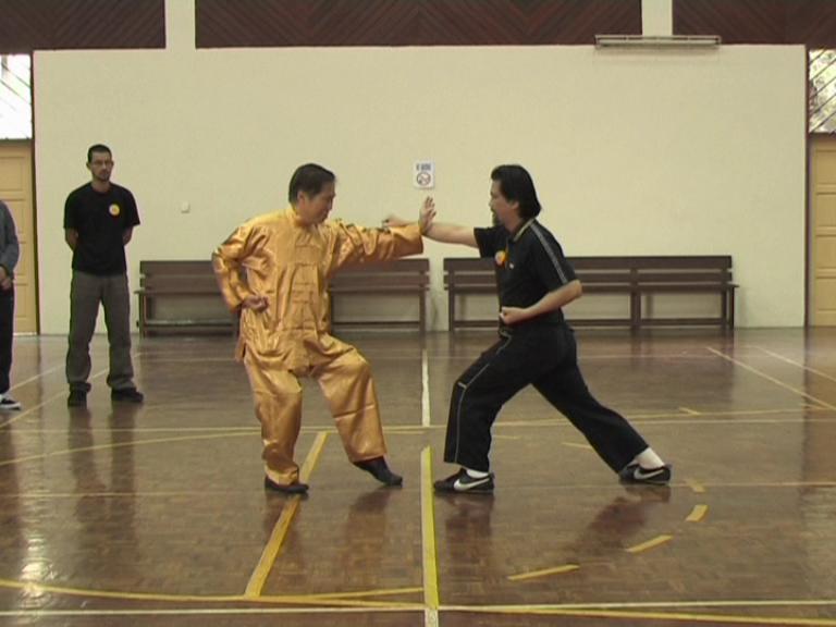 Shaolin Kungfu