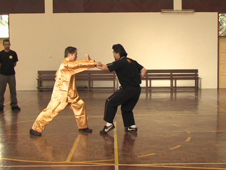 Shaolin Kungfu