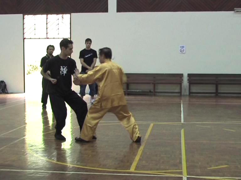 Shaolin Kung Fu