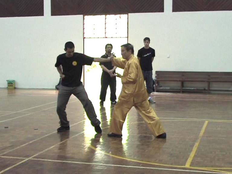 Shaolin Kungfu