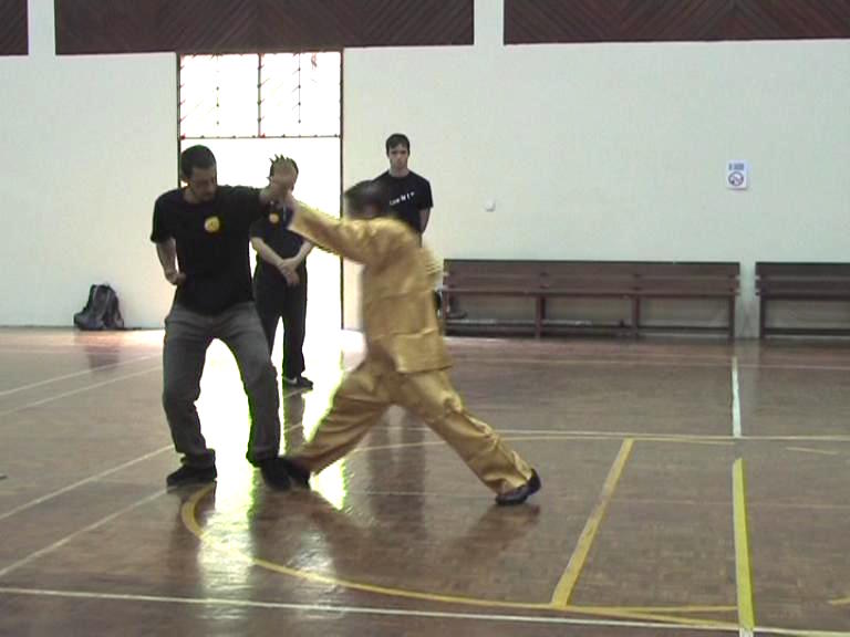 Shaolin Kungfu