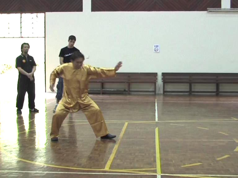 Shaolin Kungfu