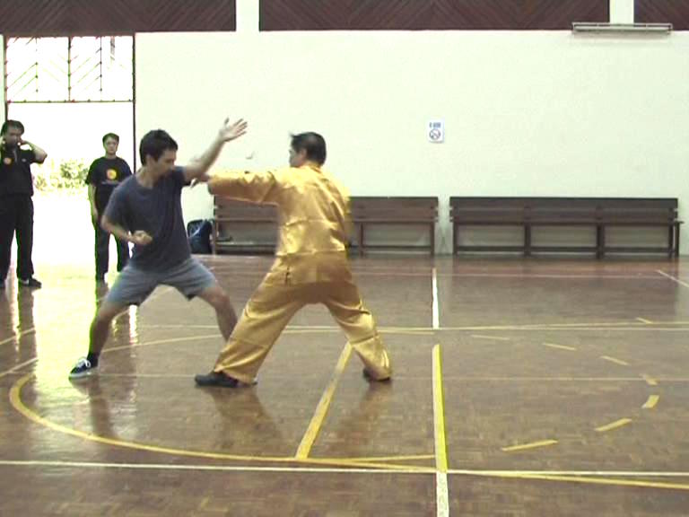 Shaolin Kung Fu