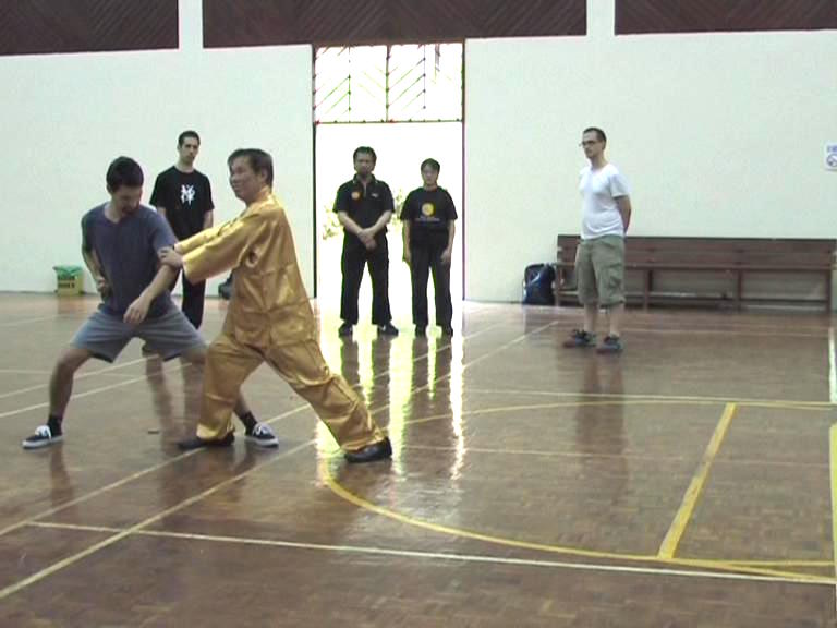 Shaolin Kungfu