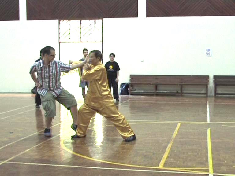 Shaolin Kungfu