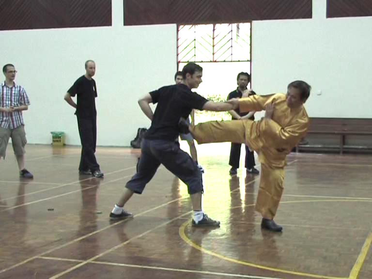 Shaolin Kungfu