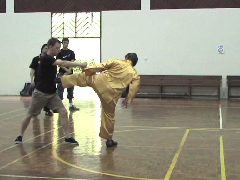 Shaolin Kungfu