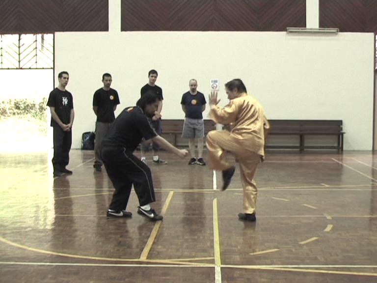 Shaolin Kungfu