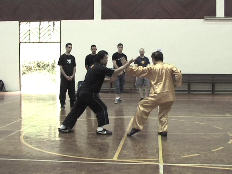 Shaolin 16 Combat Sequences