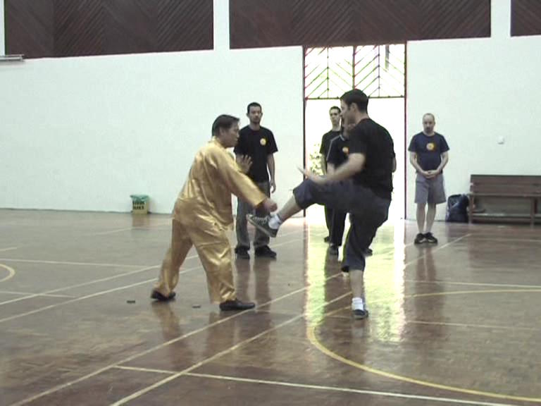 Shaolin Kungfu