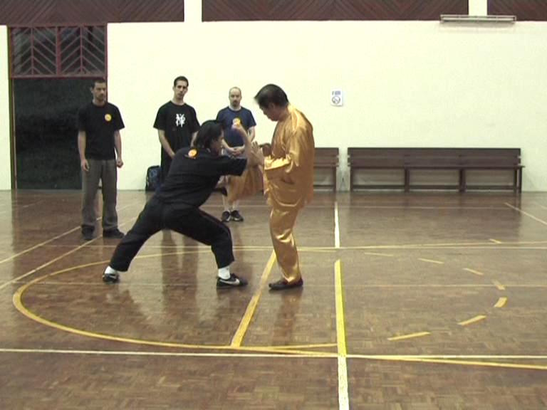 Shaolin 16 Combat Sequences