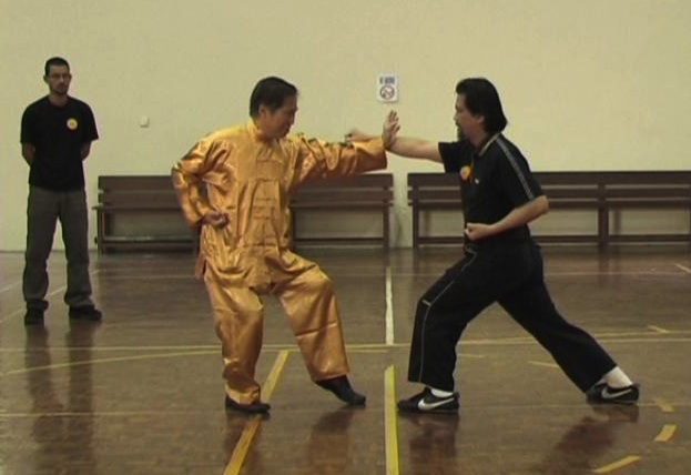 Shaolin Kungfu