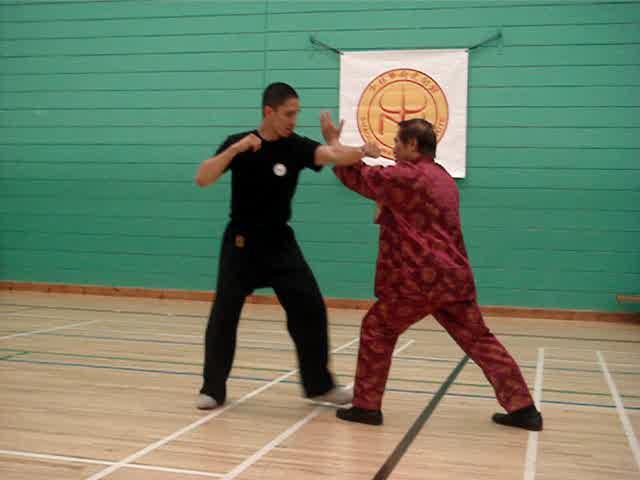 Shaolin Kungfu