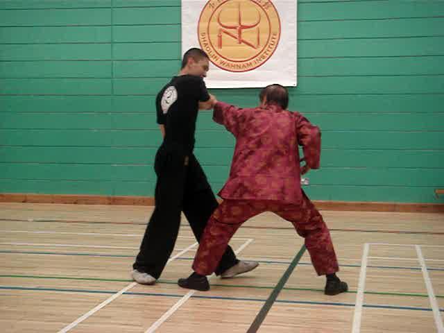 Shaolin Kungfu