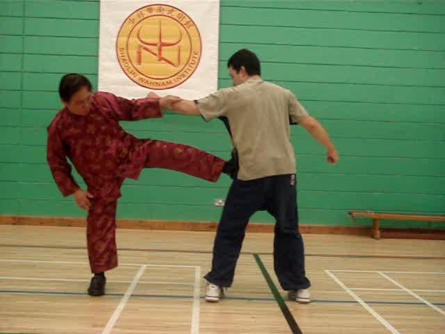 Shaolin Kungfu